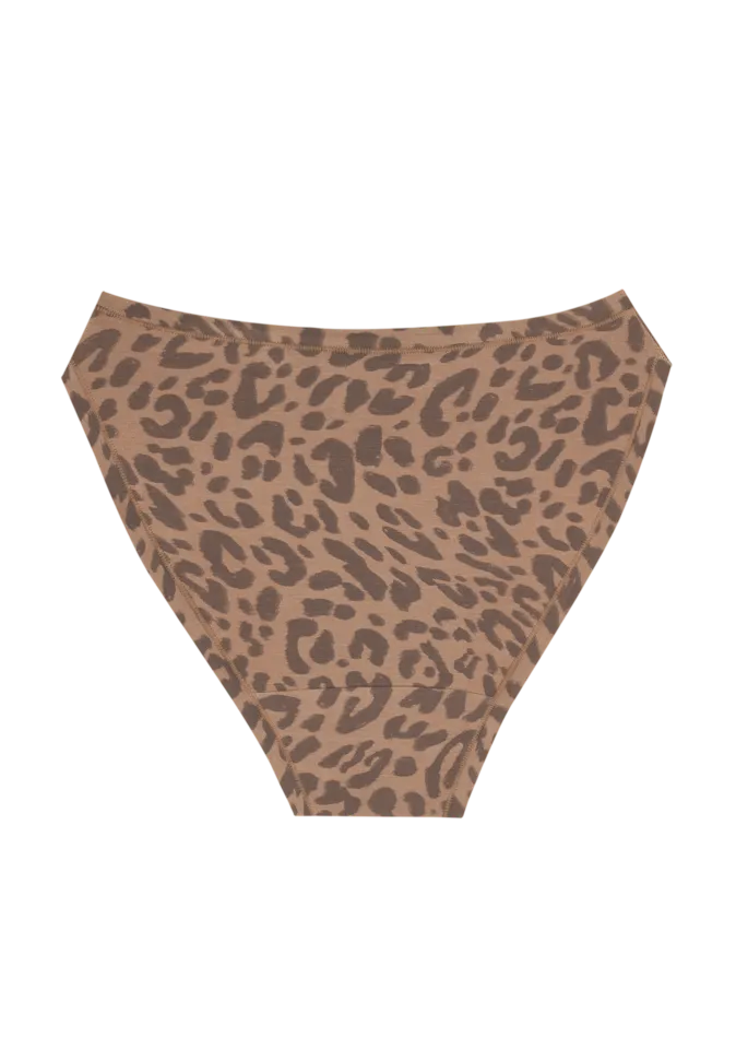 High Rise Bikini