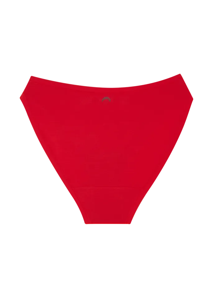 High Rise Bikini