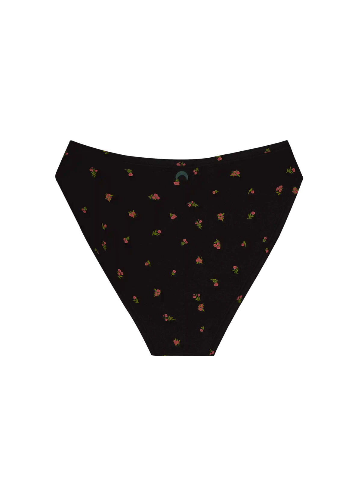 High Rise Bikini