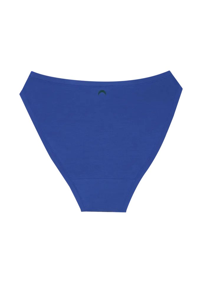 High Rise Bikini